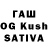 Галлюциногенные грибы ЛСД Ravi Ahuja