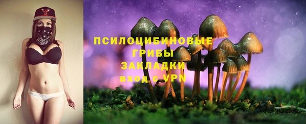 гидра Балахна
